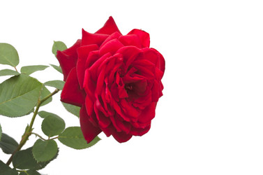 Similar image 1022630