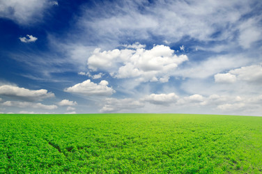 Similar image 1022634