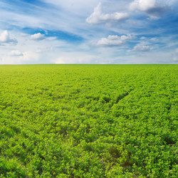 Similar image 1022636