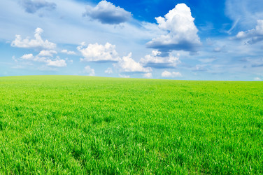 Similar image 1022642