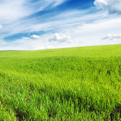 Similar image 1022643