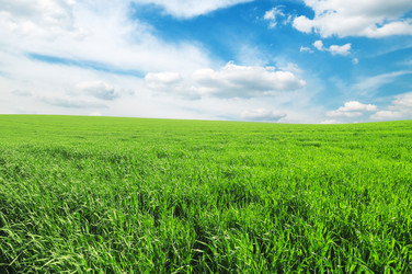 Similar image 1022644