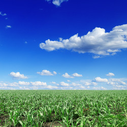 Similar image 1022646