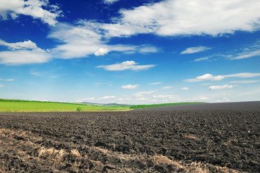 Similar image 1022655