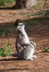 Similar image 1022658