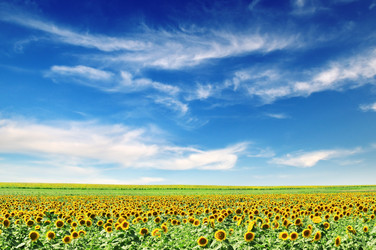 Similar image 1022663