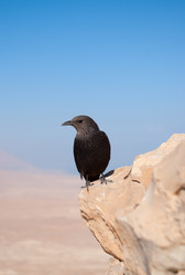 Similar image 1022664