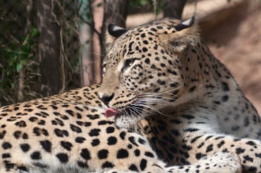 Similar image 1022672