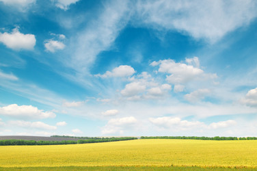 Similar image 1022675