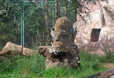 Similar image 1022680