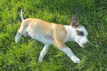 Similar image 1022691