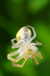 Similar image 1022695