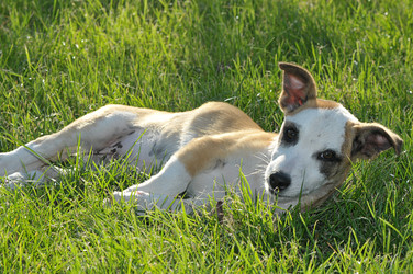 Similar image 1022696