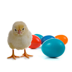 Similar image 1022705