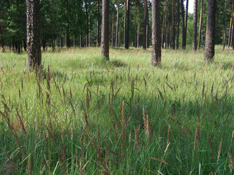 Similar image 1022716