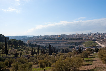 Similar image 1022721