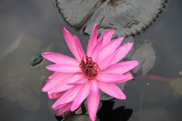 Similar image 1022748