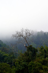 Similar image 1022763