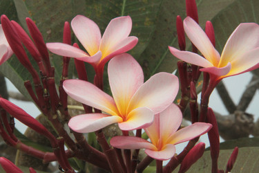 Similar image 1022764