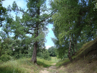 Similar image 1022765