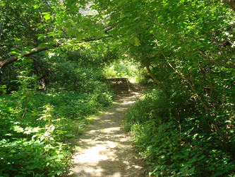 Similar image 1022766