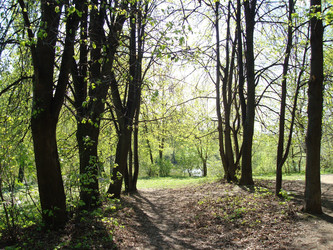 Similar image 1022770