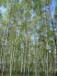 Similar image 1022774