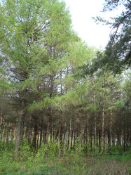 Similar image 1022776