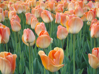 Similar image 1022781