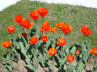 Similar image 1022783