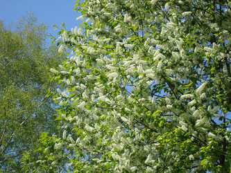 Similar image 1022785