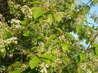 Similar image 1022786