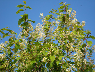 Similar image 1022787