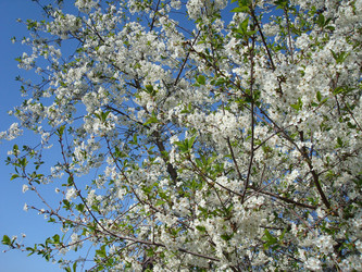 Similar image 1022790