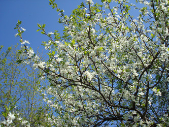 Similar image 1022789