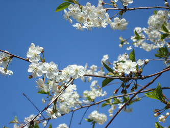 Similar image 1022791