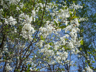 Similar image 1022792