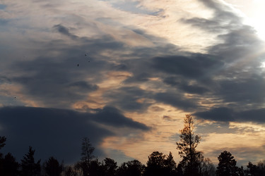 Similar image 1022823