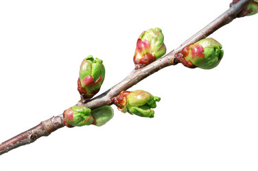 Similar image 1022862