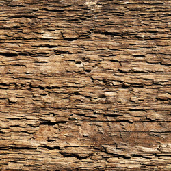 Similar image 1022906