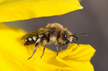 Similar image 1022914