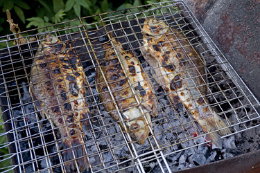 Similar image 1022934