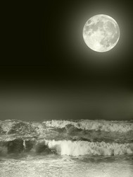 Similar image 1023021