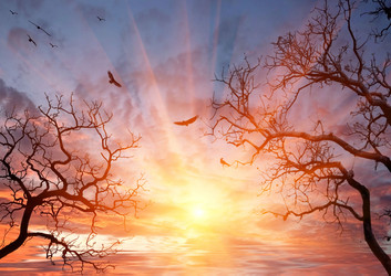 Similar image 1023022