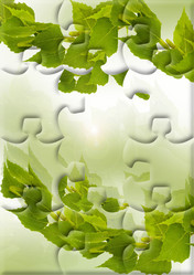 Similar image 1023032