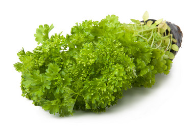 Similar image 1023050