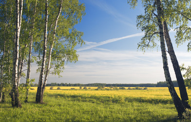 Similar image 1023070