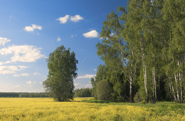 Similar image 1023072