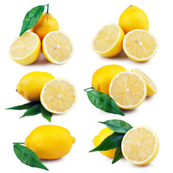 Similar image 1023277