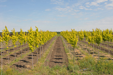 Similar image 1023293